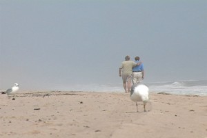 Tommy & Chris @ The Beach--DVD Cover